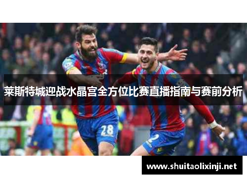 莱斯特城迎战水晶宫全方位比赛直播指南与赛前分析